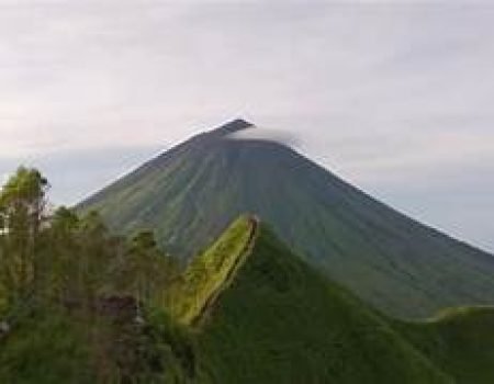 Top Attractions in Flores Island
