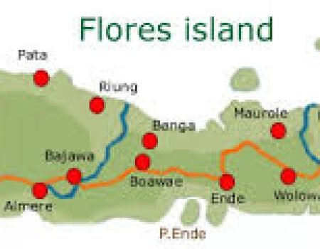 Landscape Pulau Flores dengan perbukitan hijau dan garis pantai alami di Indonesia