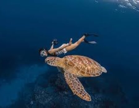 Snorkeling at Siaba Island with Pristine Tour