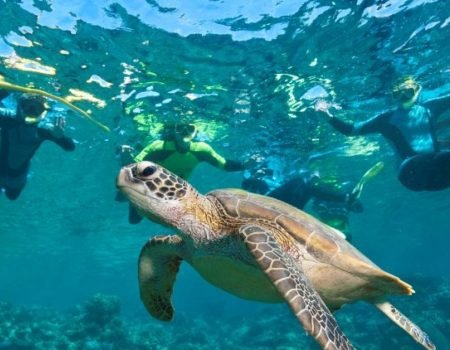 Snorkeling at Siaba Island
