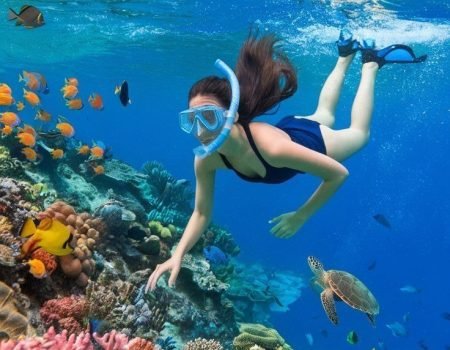 best snorkeling spots in Komodo National Park, from vibrant coral reefs to manta ray encounters. Experience crystal-clear waters and unforgettable underwater adventures in Indonesia’s tropical paradise.