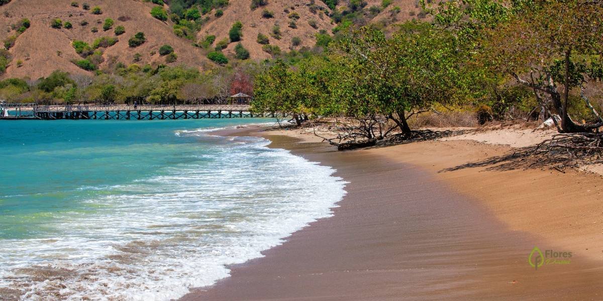 komodo island