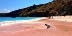 long pink beach